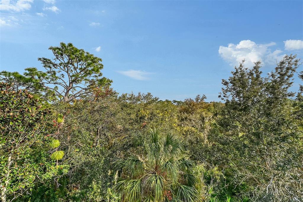 8922 White Sage Loop Lakewood Ranch, FL 34202 - Photo 48 of 65