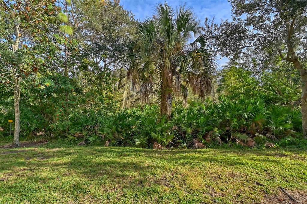 8922 White Sage Loop Lakewood Ranch, FL 34202 - Photo 54 of 65 a view of a grassy field with trees