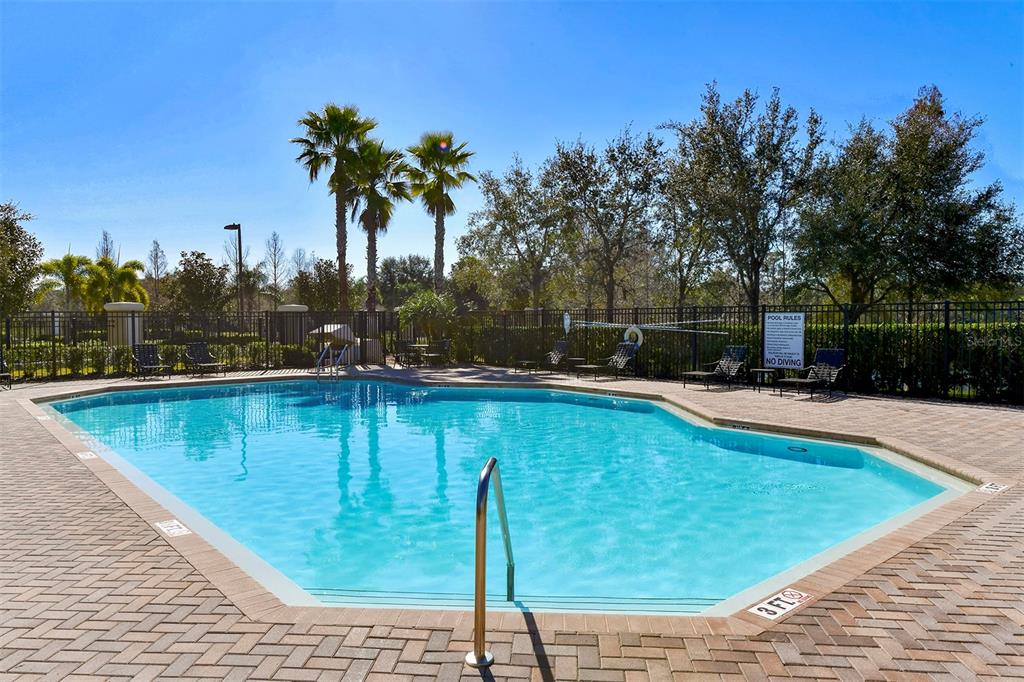 8922 White Sage Loop Lakewood Ranch, FL 34202 - Photo 61 of 65 a swimming pool that has a lawn chairs with wooden fence