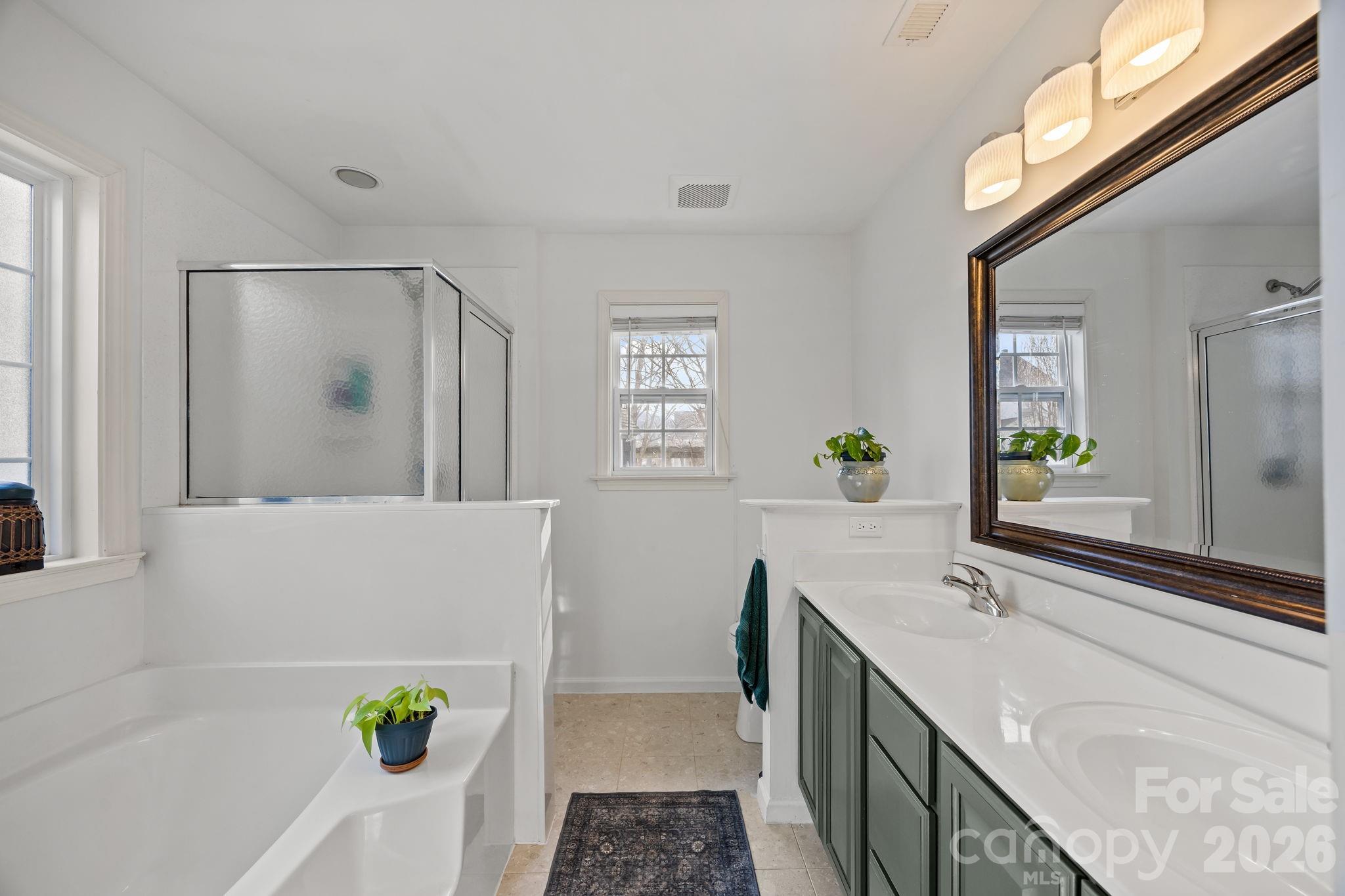 244 Running Briar Road Fletcher, NC 28732 - Photo 24 of 45 a spacious bathroom with a granite countertop tub a sink and a large mirror