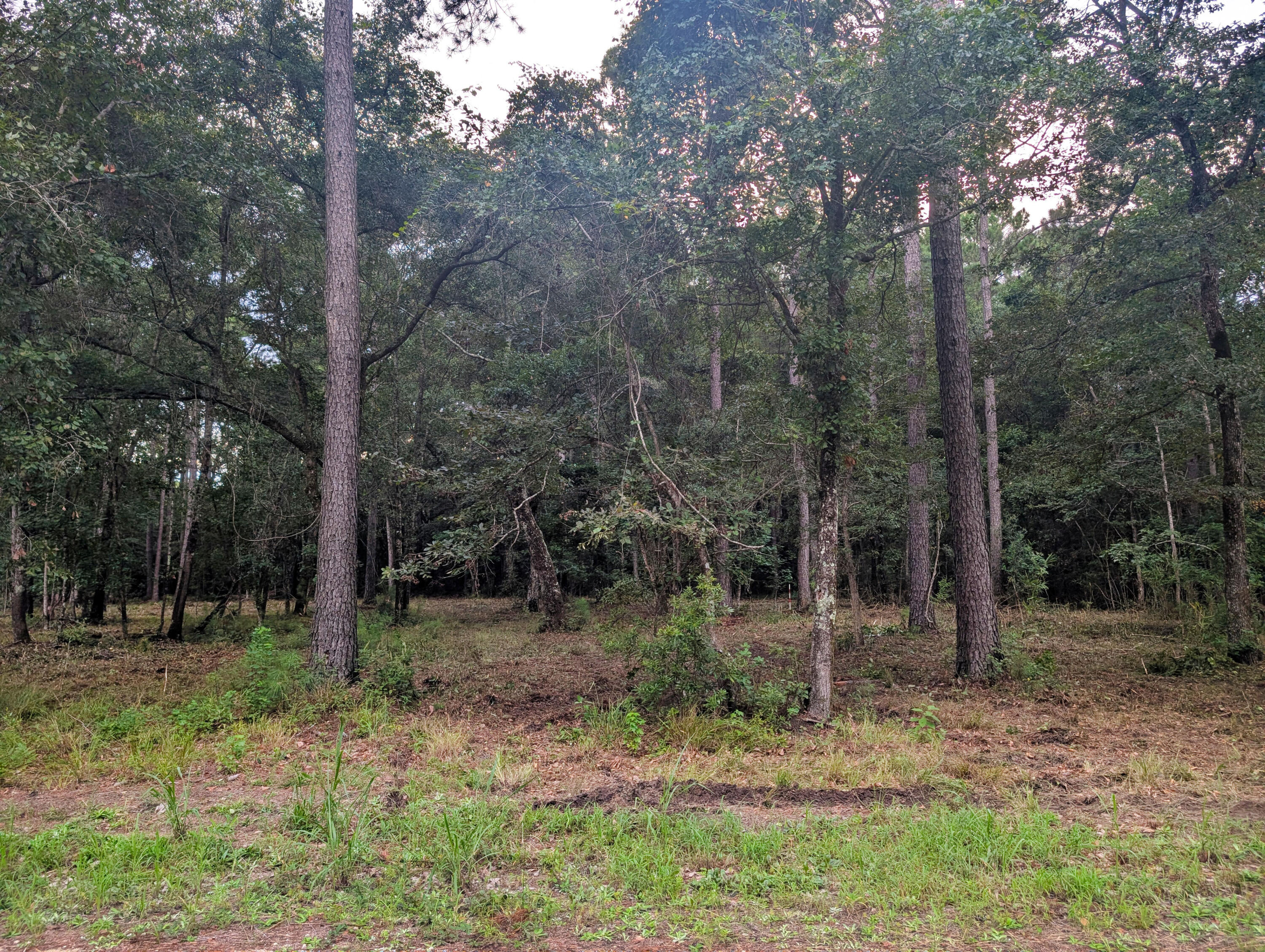 2006 Becca Lane McClellanville, SC 29458 - Photo 5 of 12 3