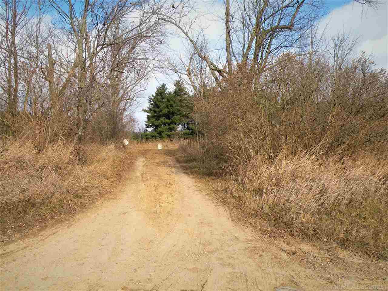 80-acres 80-acres French Line Road Applegate, MI 48401 - Photo 1 of 5
