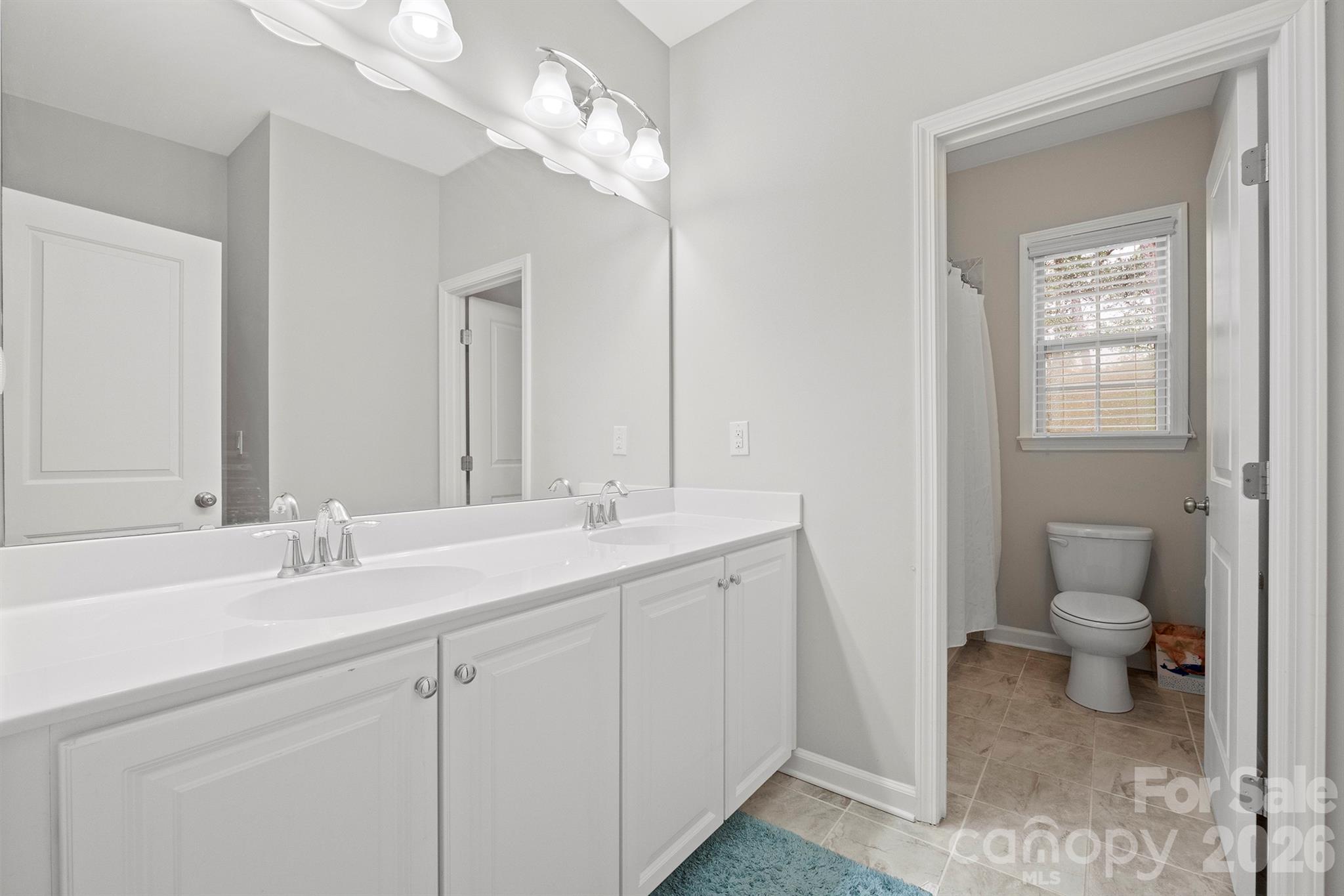13044 Fen Court Huntersville, NC 28078 - Photo 29 of 43 a bathroom with a sink a toilet and a mirror