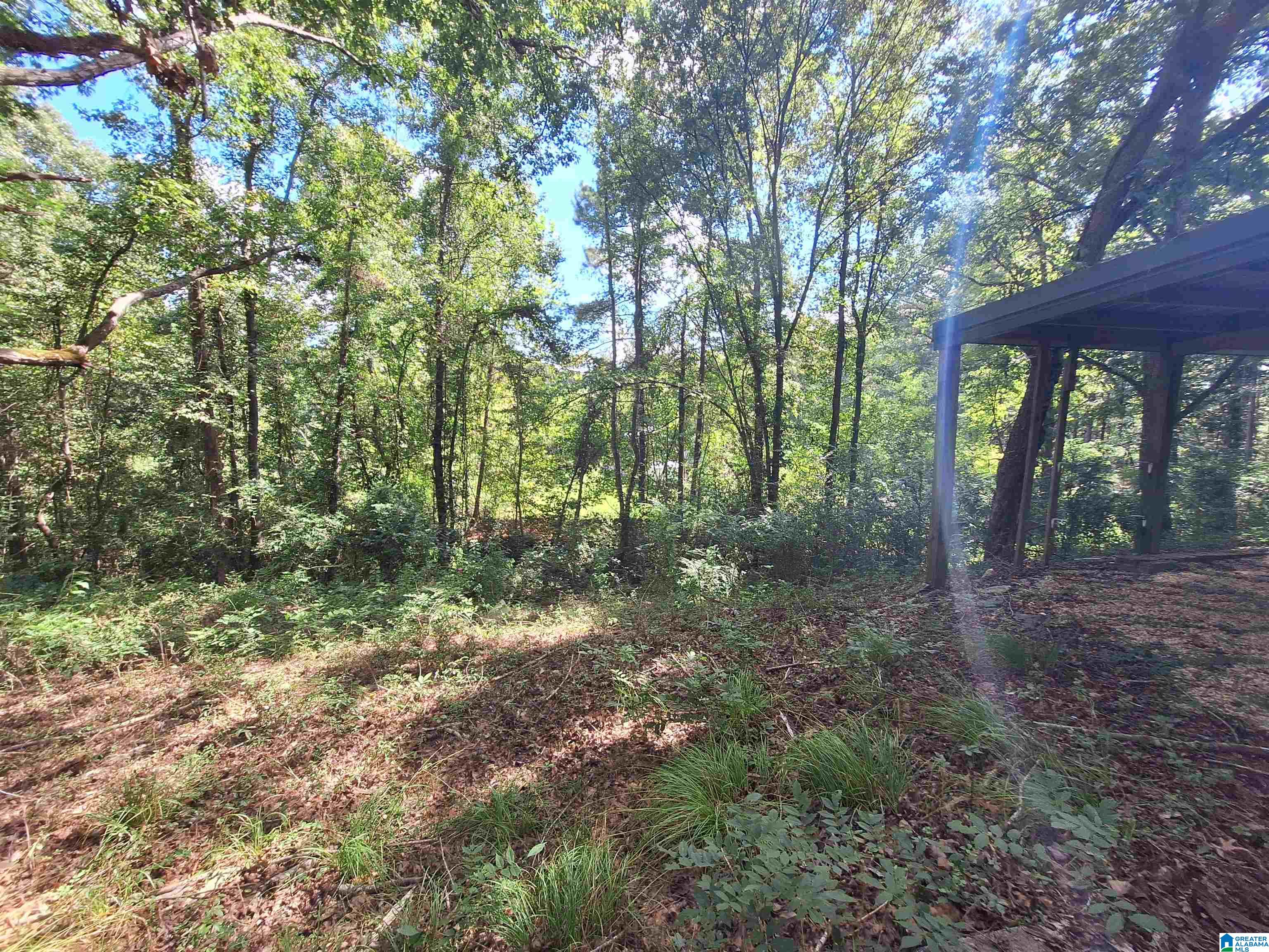 13533 Olivewood Road Coker, AL 35452 - Photo 66 of 66