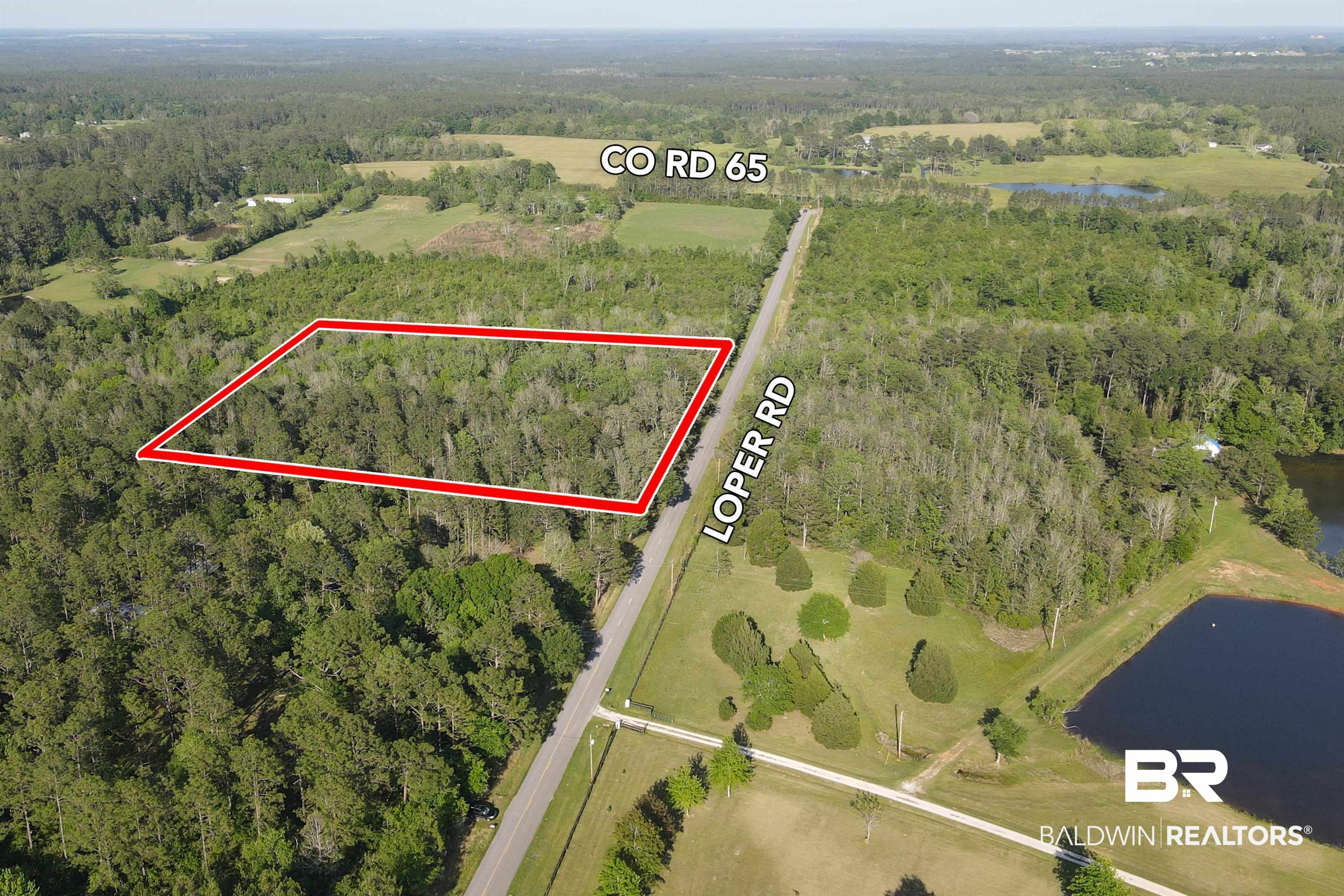 0 Loper Road Loxley, AL 36551 - Photo 3 of 9