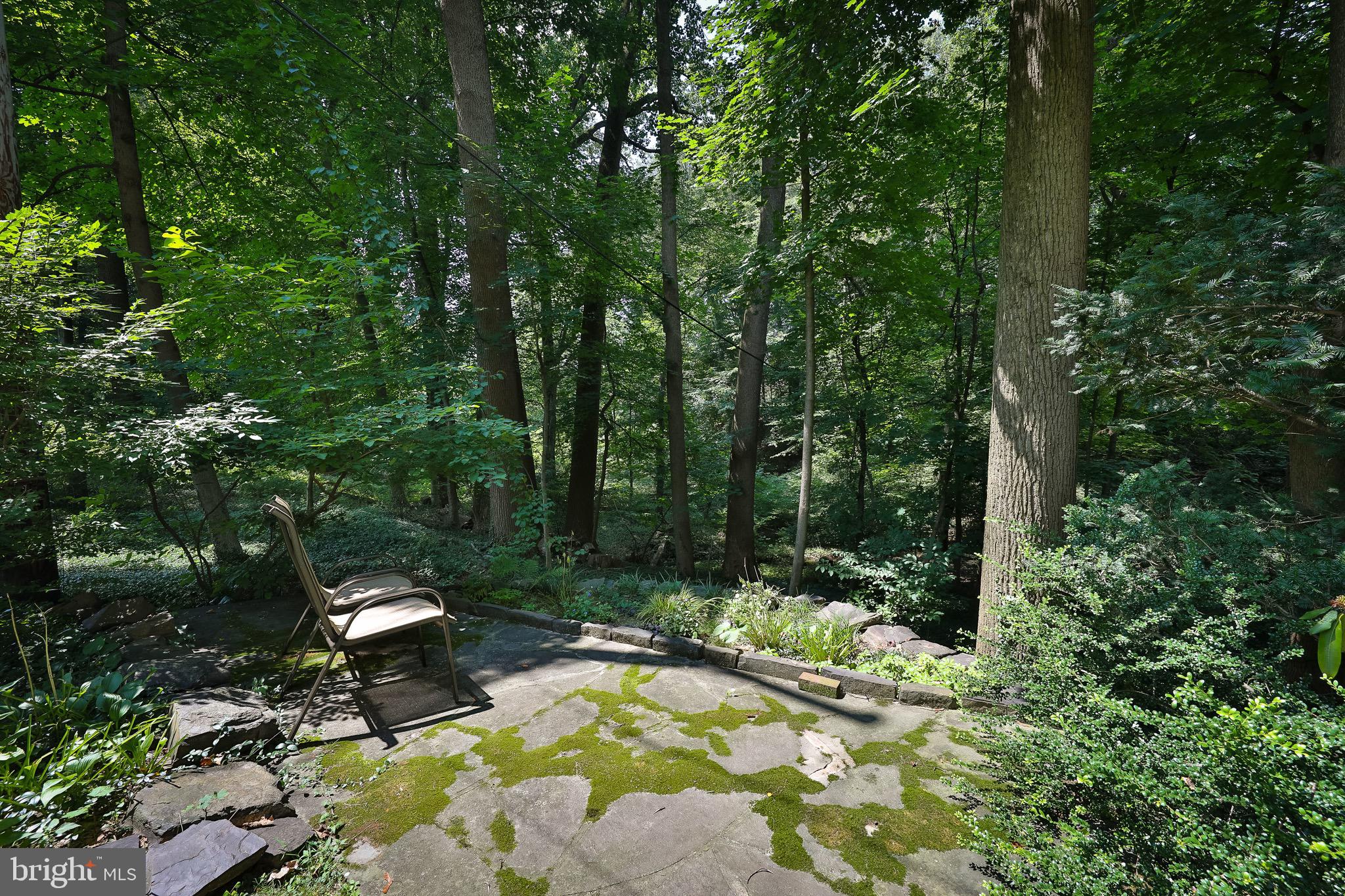 766 Moredon Road Jenkintown, PA 19046 - Photo 35 of 47 Terrace/Patio