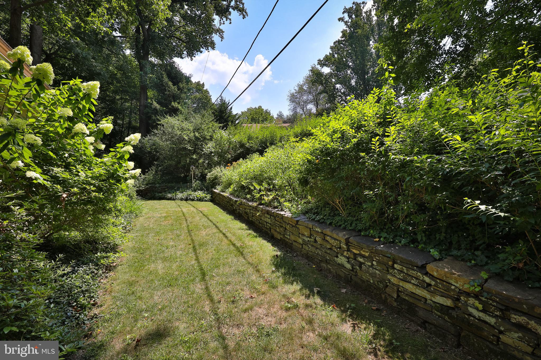766 Moredon Road Jenkintown, PA 19046 - Photo 36 of 47 Yard