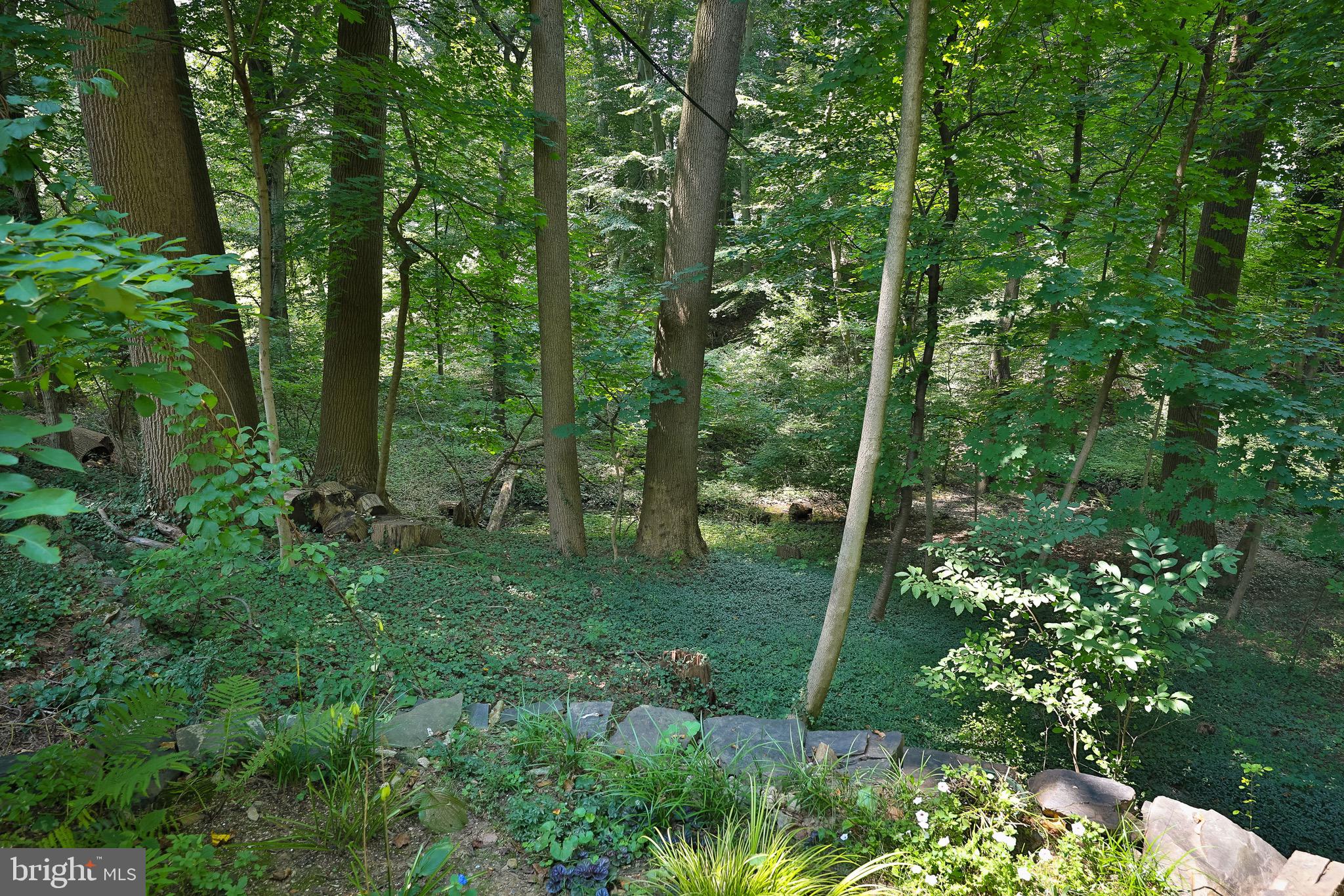 766 Moredon Road Jenkintown, PA 19046 - Photo 42 of 47 View