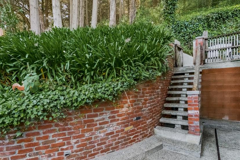 712 Ursula Avenue Pacifica, CA 94044 - Photo 38 of 42 a view of a yard with plants