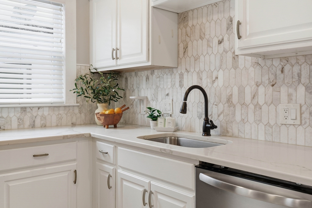 20 Ripley Road, Unit 3 Boston, MA 02121 - Photo 11 of 27 a sink with a potted plant on it