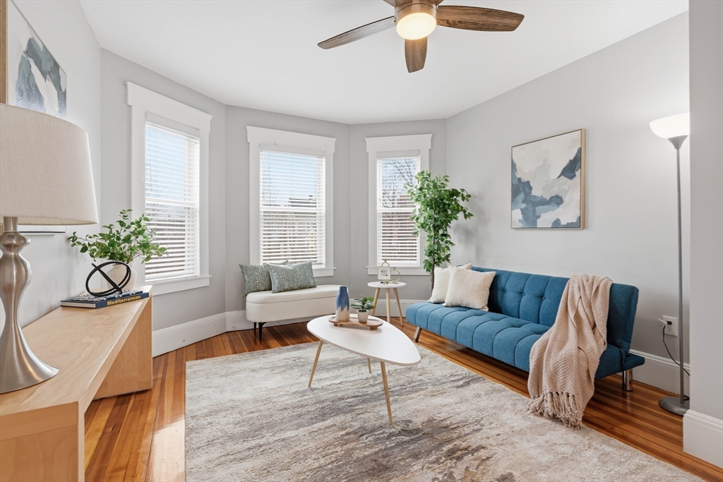 20 Ripley Road, Unit 3 Boston, MA 02121 - Photo 3 of 27 a living room with furniture potted plant and a window