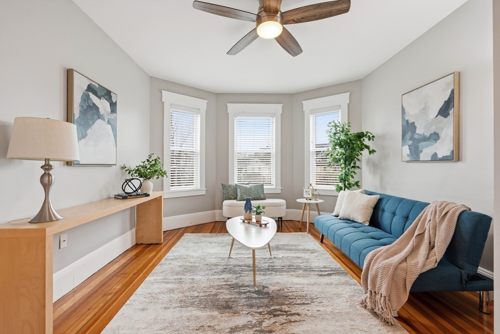 20 Ripley Road, Unit 3 Boston, MA 02121 - Photo 4 of 27 a living room with furniture and a potted plant