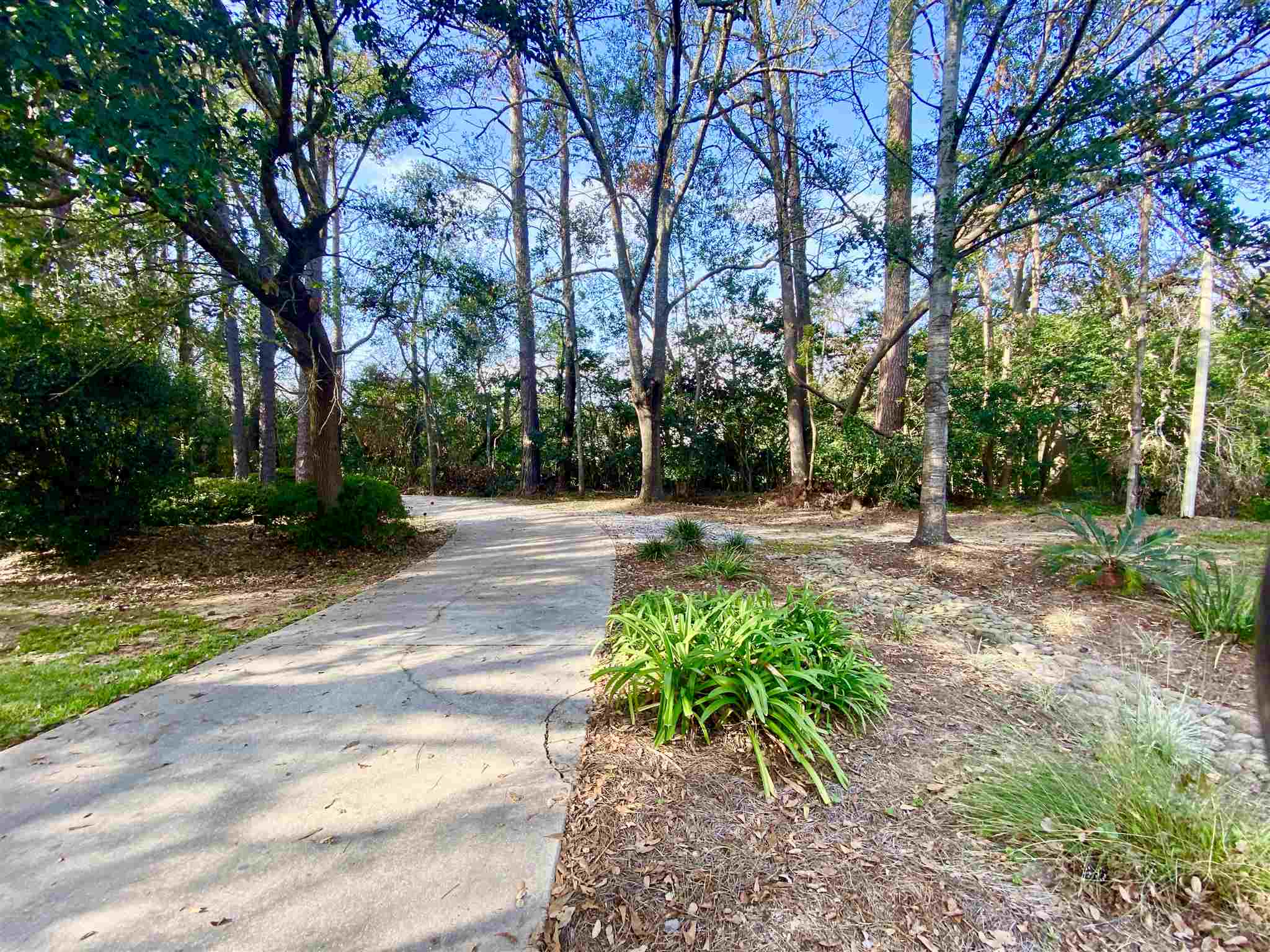 814 North Greeno Road Fairhope, AL 36532 - Photo 5 of 41