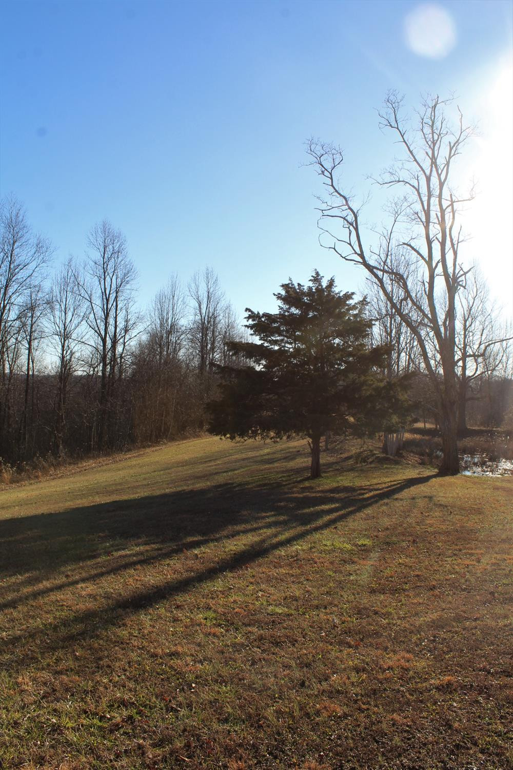 950 Sinking Valley School Road McKee, KY 40447 - Photo 62 of 65 Photo 64