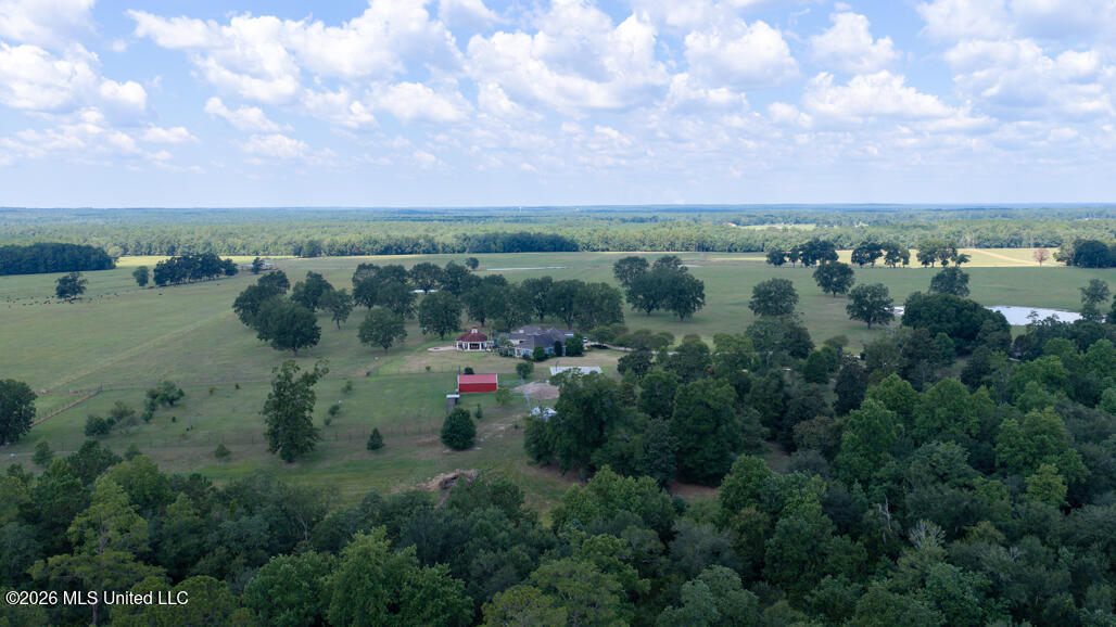 164 Lott Cemetary Road Perkinston, MS 39573 - Photo 46 of 68 pic-16
