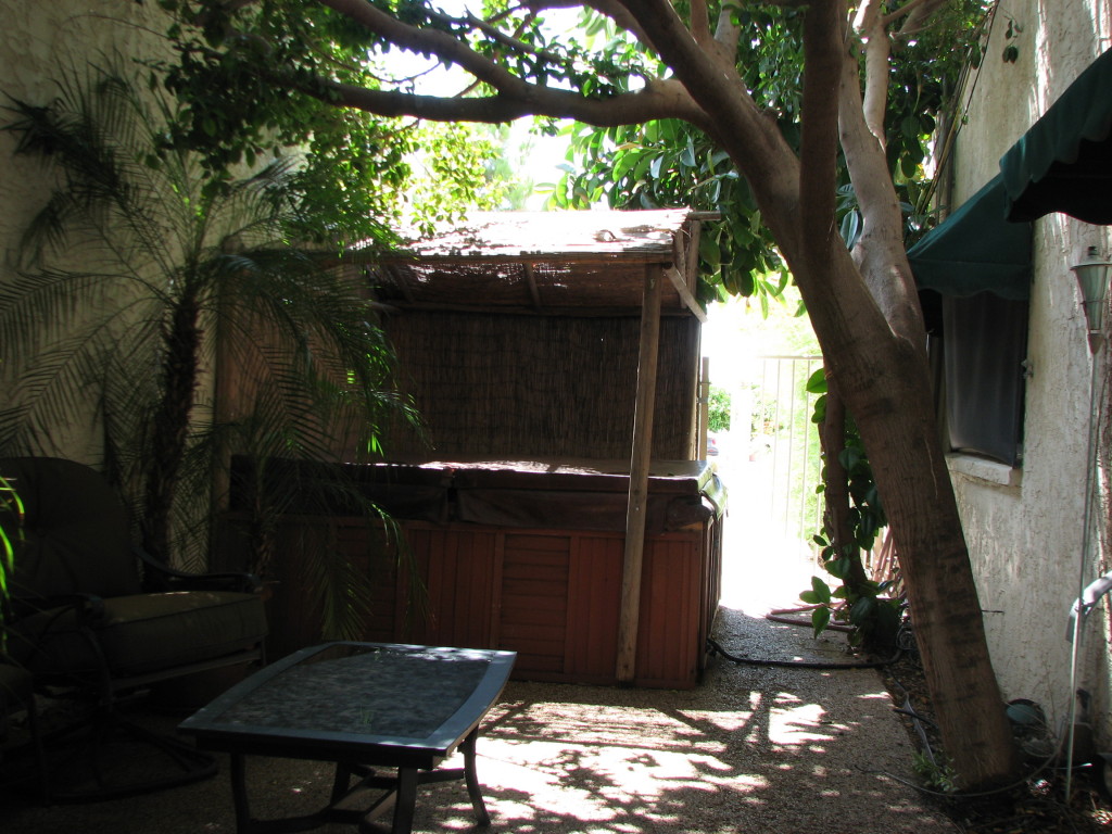 2115 North Recker Road Mesa, AZ 85215 - Photo 3 of 31 courtyard