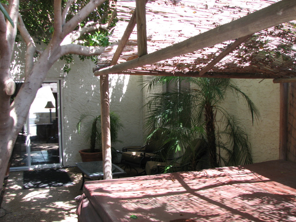 2115 North Recker Road Mesa, AZ 85215 - Photo 5 of 31 courtyard