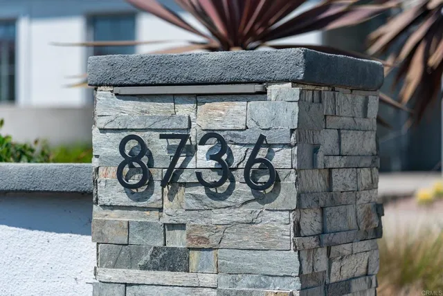 a potted plant sitting in front of a door