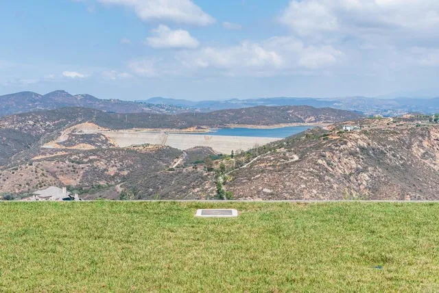 a view of a park with tree s