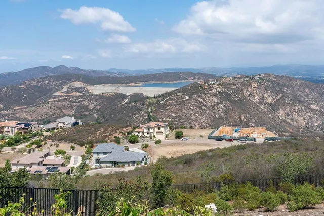 a view of a park with large trees