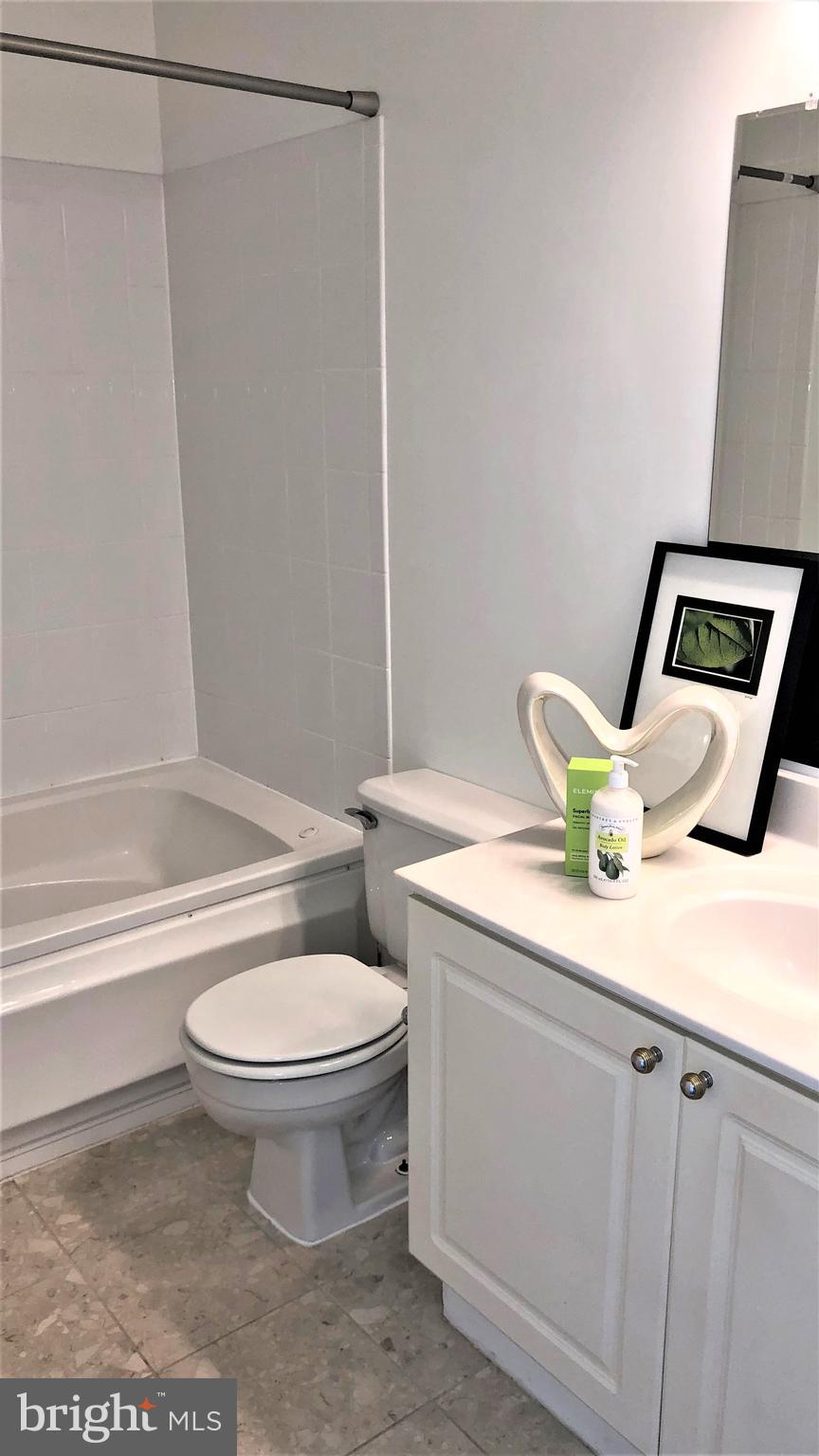 15673 Viewpoint Circle Dumfries, VA 22025 - Photo 27 of 58 Primary Bath with Jacuzzi