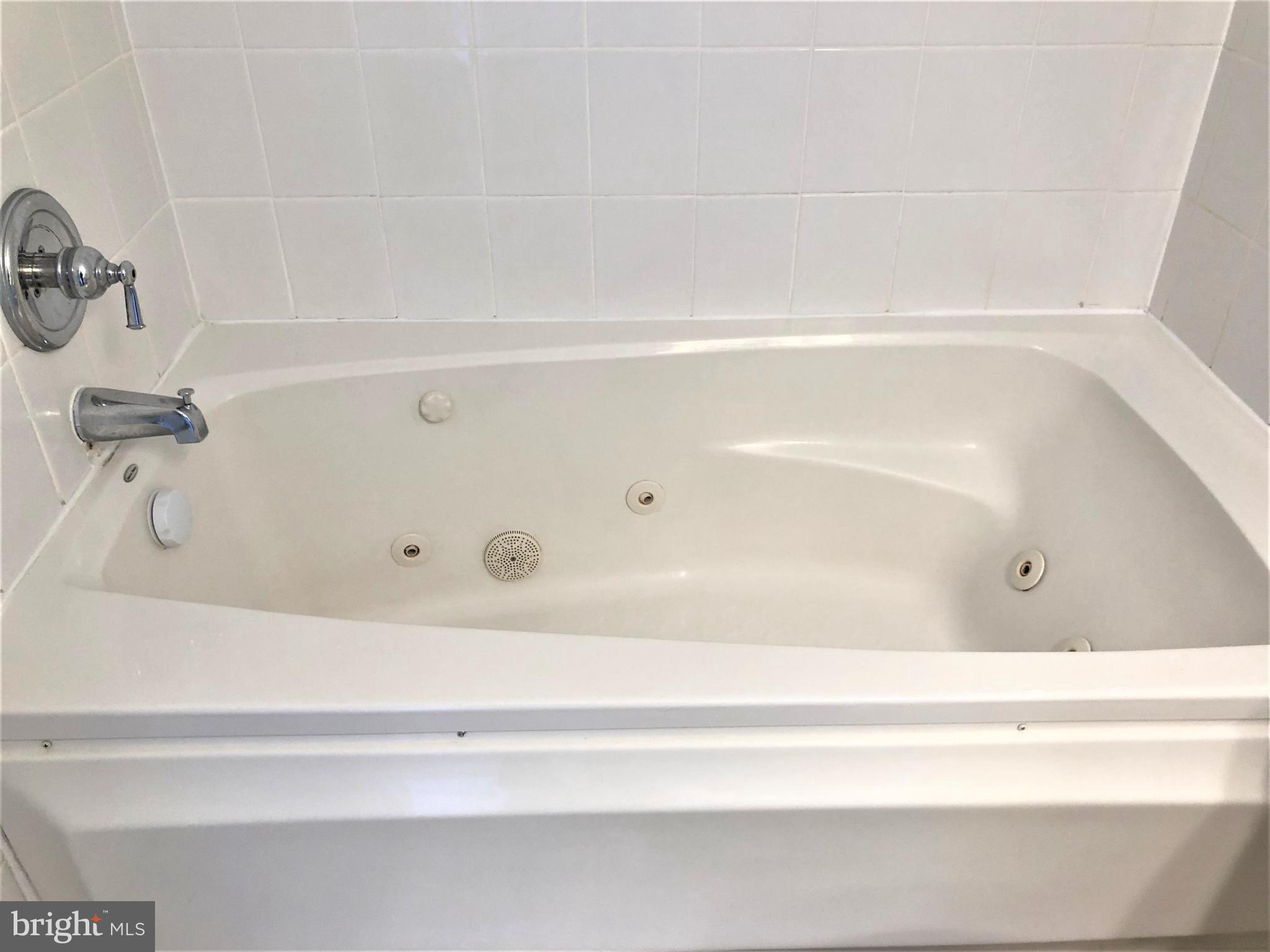 15673 Viewpoint Circle Dumfries, VA 22025 - Photo 29 of 58 Primary Jacuzzi Tub