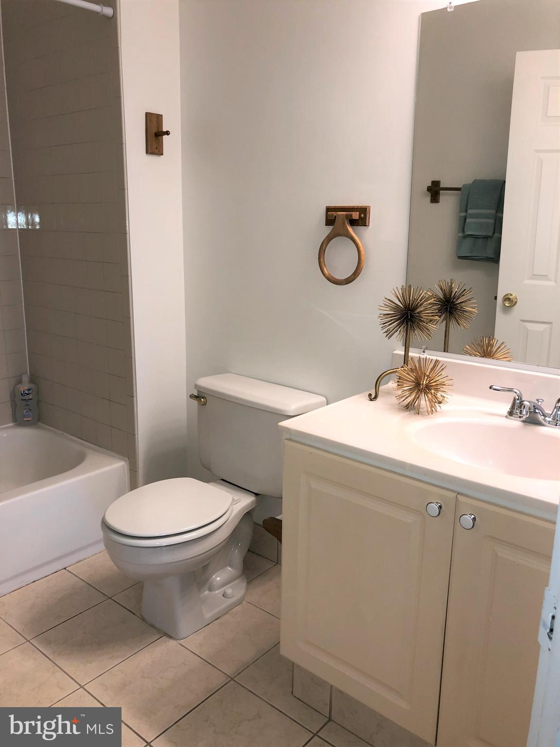 15673 Viewpoint Circle Dumfries, VA 22025 - Photo 37 of 58 Upgraded Fixtures in Hall Bath