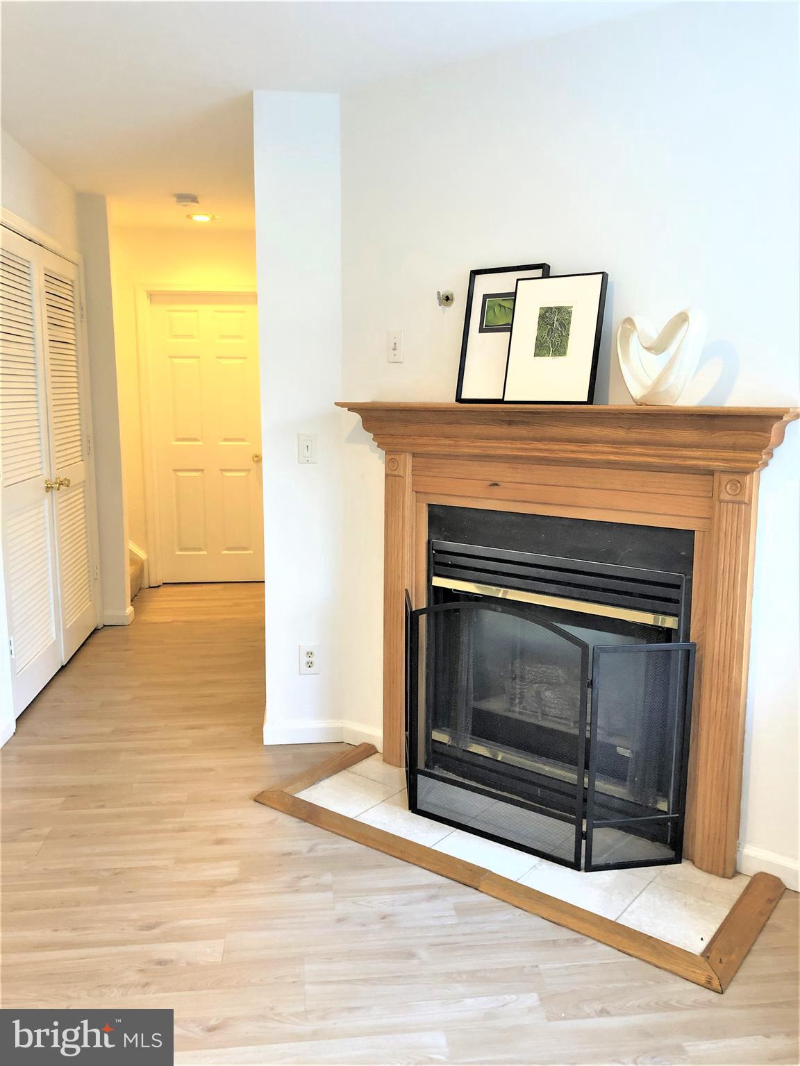 15673 Viewpoint Circle Dumfries, VA 22025 - Photo 46 of 58 Lower Level Mantel