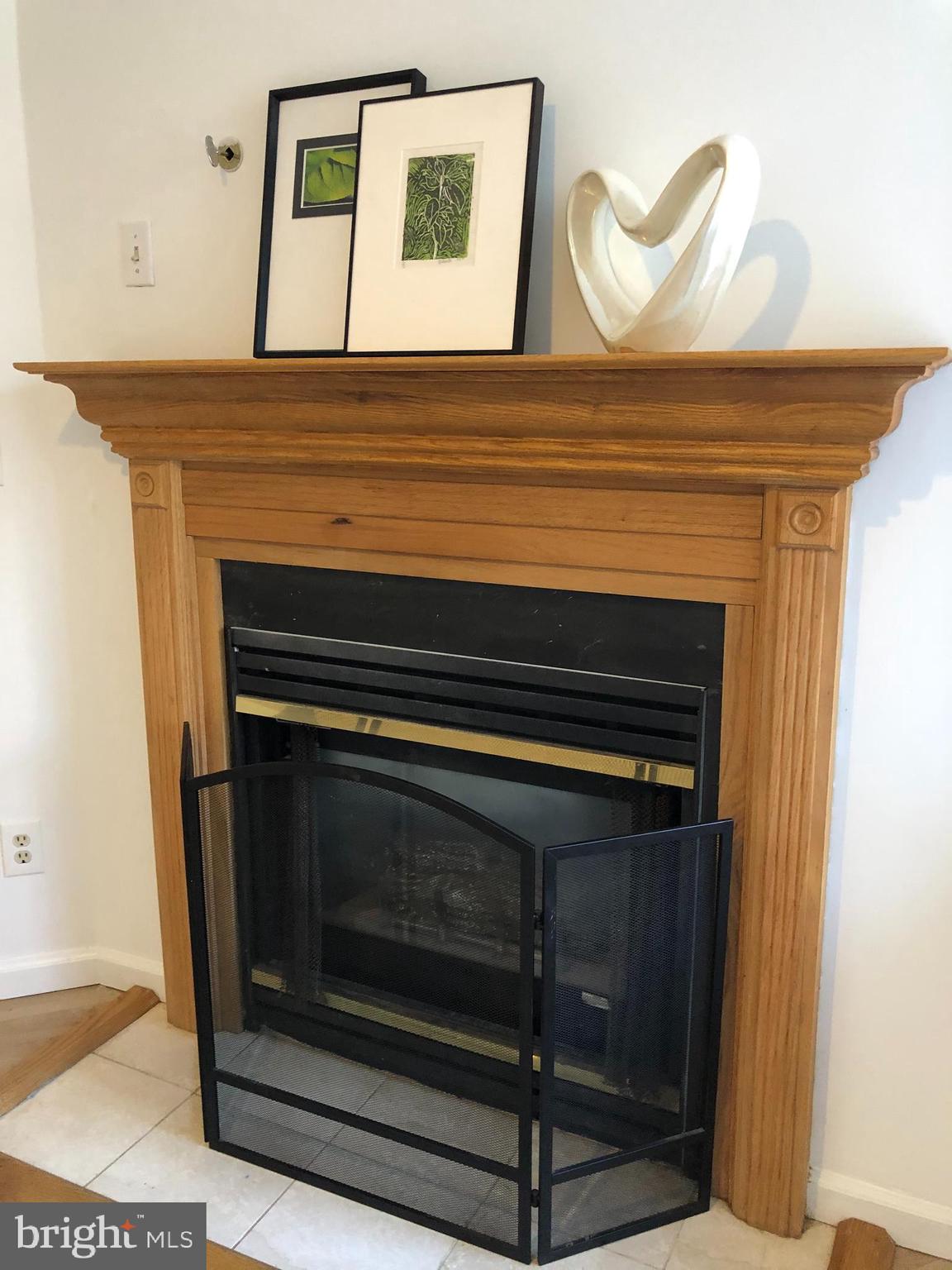 15673 Viewpoint Circle Dumfries, VA 22025 - Photo 51 of 58 LL Gas Fireplace