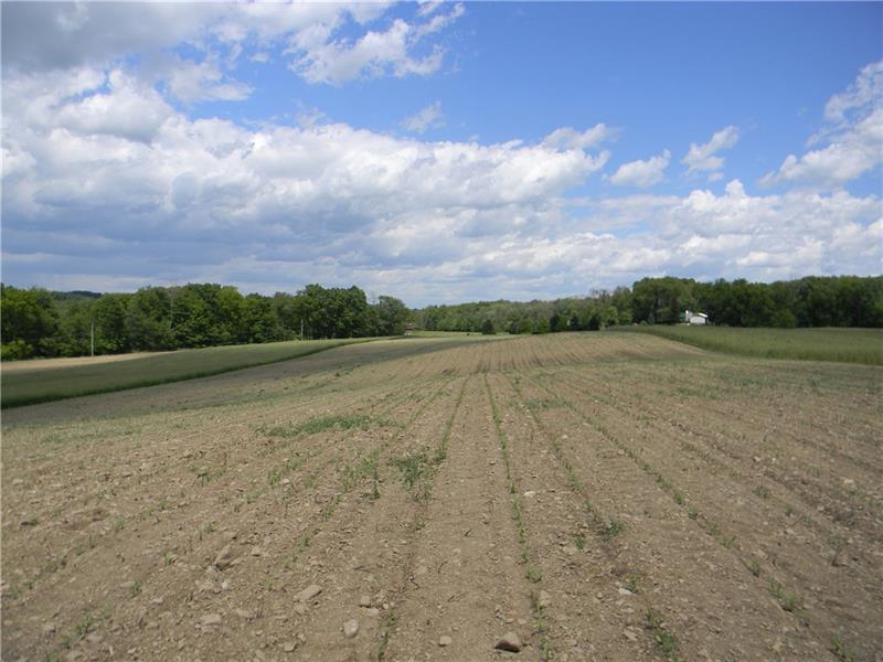0 Gerber Road Volant, PA 16156 - Photo 10 of 19