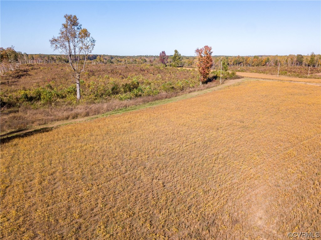 54-31 (lot 5) Baltimore Road Dewitt, VA 23840 - Photo 11 of 19 Gallery Image 11