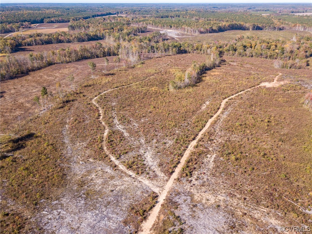 54-31 (lot 5) Baltimore Road Dewitt, VA 23840 - Photo 13 of 19 Gallery Image 13