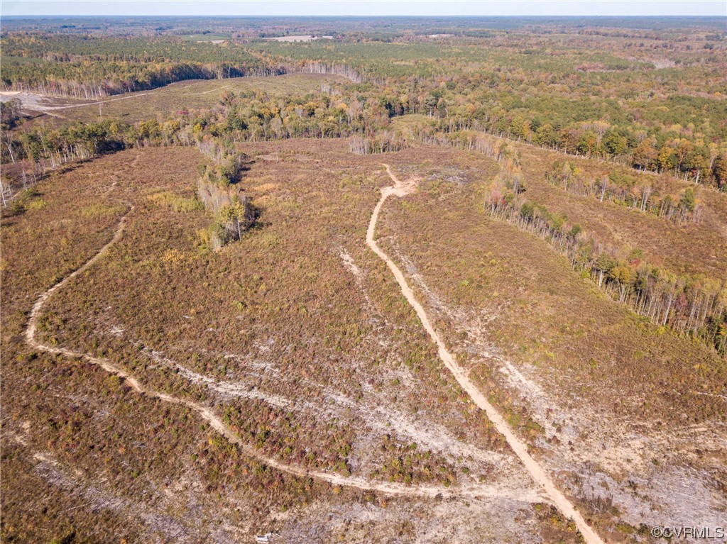 54-31 (lot 5) Baltimore Road Dewitt, VA 23840 - Photo 14 of 19 Gallery Image 14