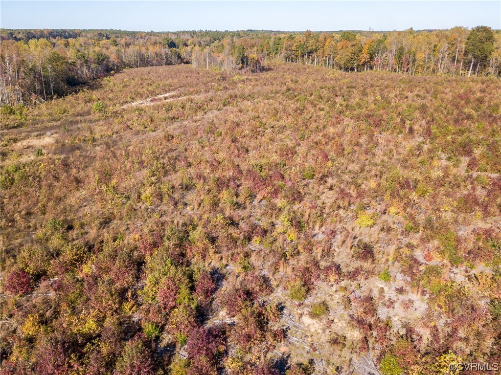 54-31 (lot 5) Baltimore Road Dewitt, VA 23840 - Photo 17 of 19 Gallery Image 17