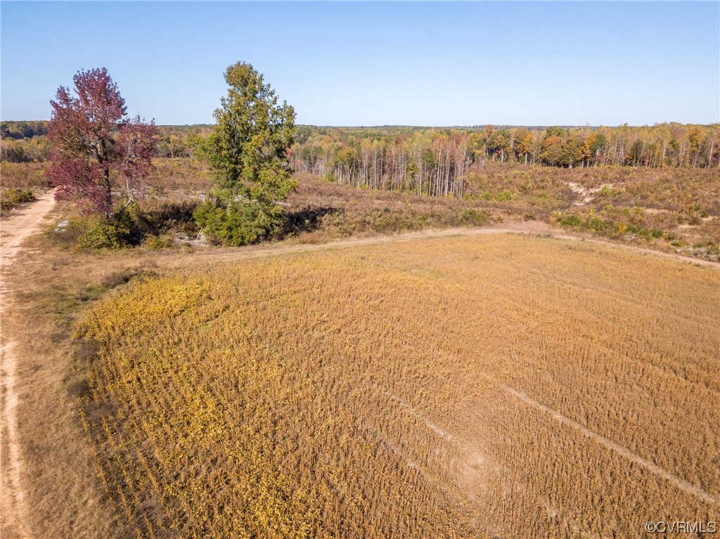54-31 (lot 5) Baltimore Road Dewitt, VA 23840 - Photo 3 of 19 Gallery Image 3