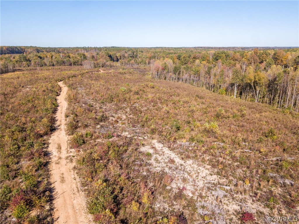 54-31 (lot 5) Baltimore Road Dewitt, VA 23840 - Photo 4 of 19 Gallery Image 4