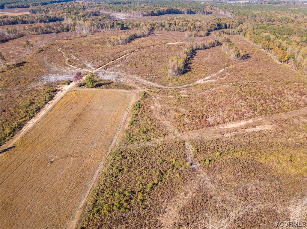 54-31 (lot 5) Baltimore Road Dewitt, VA 23840 - Photo 8 of 19 Gallery Image 8