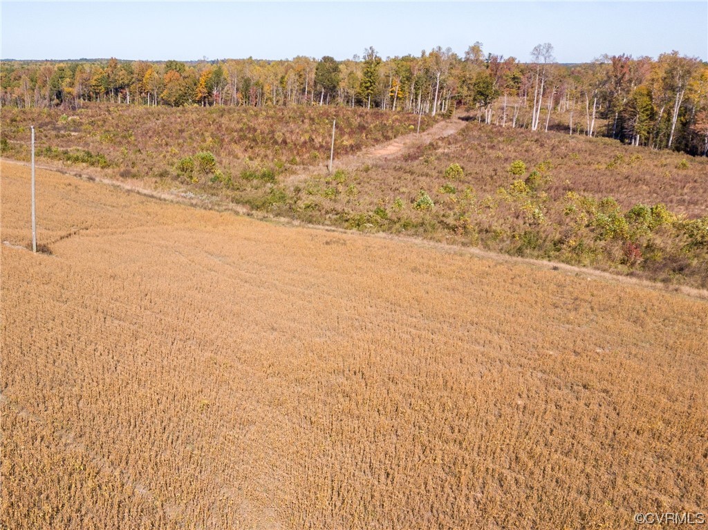 54-31 (lot 5) Baltimore Road Dewitt, VA 23840 - Photo 10 of 19 Gallery Image 10