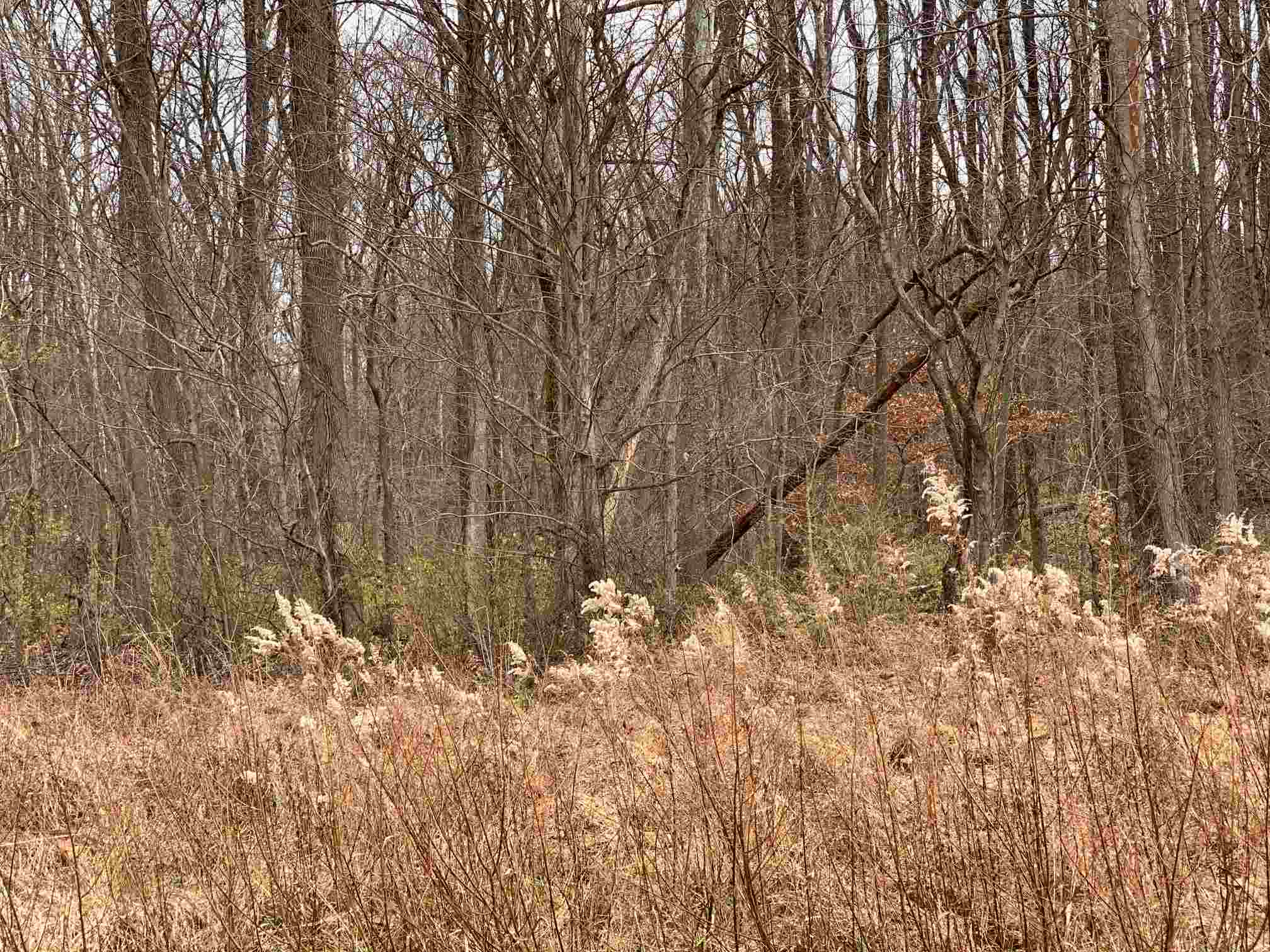 1920 Carithers Road Princeton, IN 47670 - Photo 4 of 7