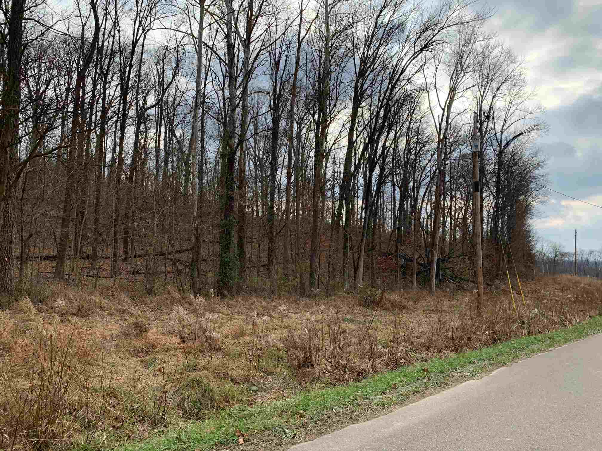 1920 Carithers Road Princeton, IN 47670 - Photo 5 of 7