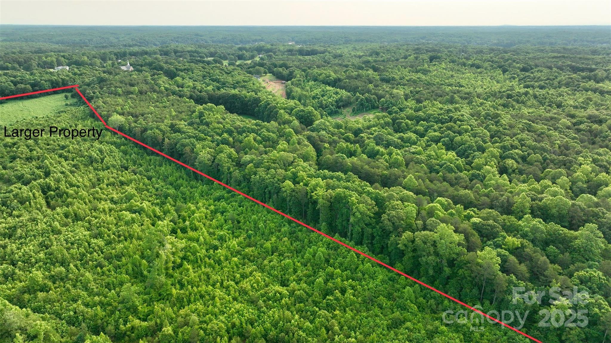 0 Hopewell Church Road Catawba, NC 28609 - Photo 16 of 29