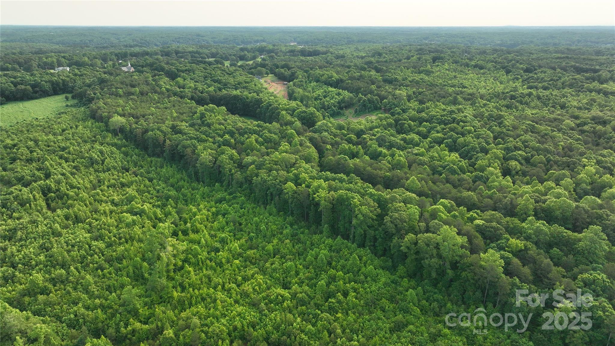 0 Hopewell Church Road Catawba, NC 28609 - Photo 24 of 29