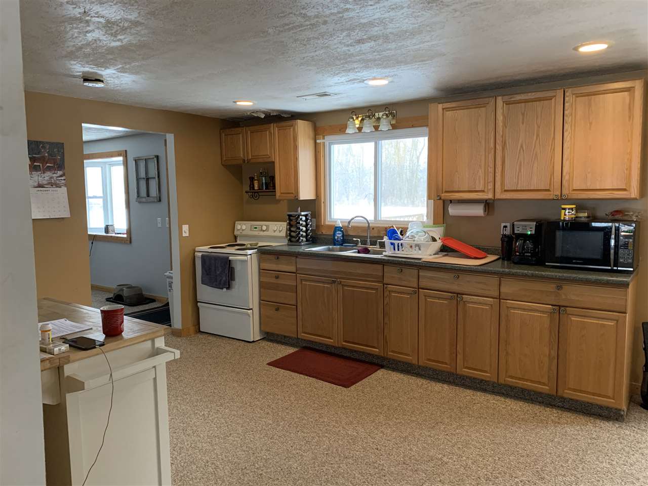 1900 West Dewey Road Owosso, MI 48867 - Photo 14 of 26 50003435-13.JPG