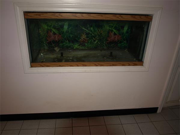 36 Palfrey Road Belmont, MA 02478 - Photo 18 of 30 Gallery Image 18