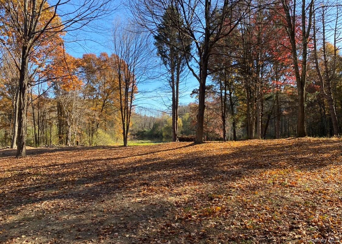 64 Seaman Road Circleville, NY 10919 - Photo 10 of 24 Cleared area / Views