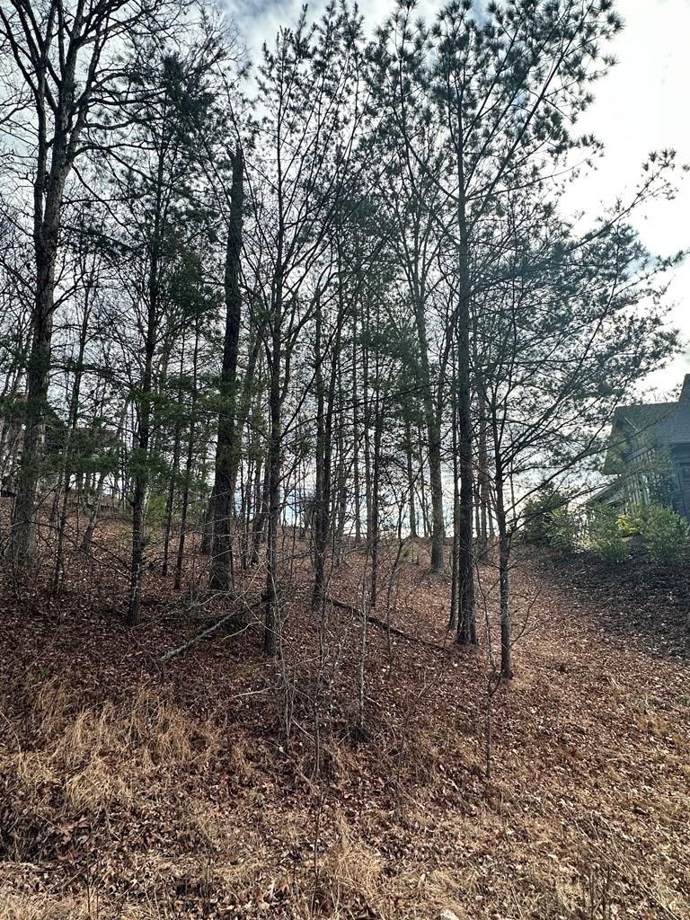 Lot 95 Fallen Leaf Road Mineral Bluff, GA 30559 - Photo 2 of 9