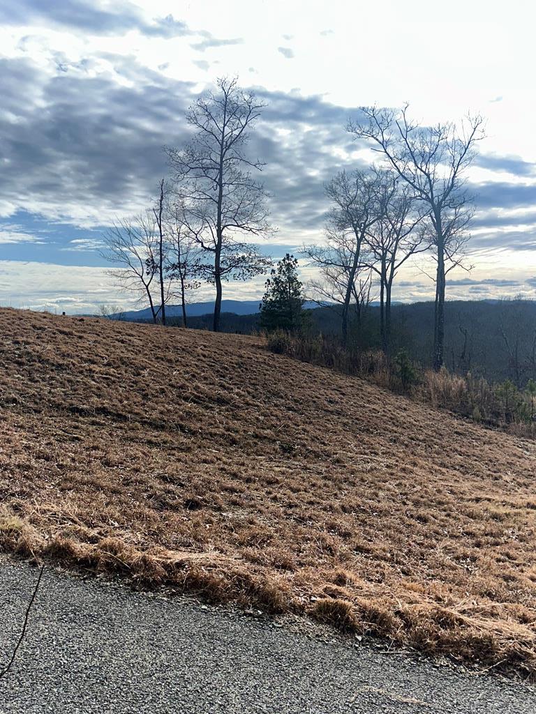 Lot 95 Fallen Leaf Road Mineral Bluff, GA 30559 - Photo 4 of 9