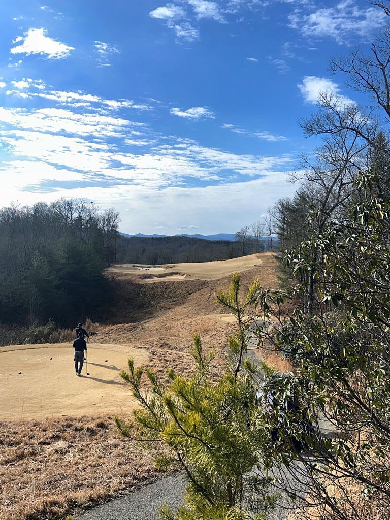 Lot 95 Fallen Leaf Road Mineral Bluff, GA 30559 - Photo 5 of 9
