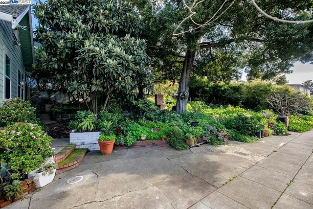 a view of a garden with plants and a bench