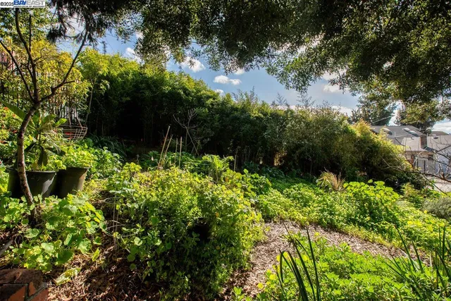 a backyard of a house with lots of green space and fountain